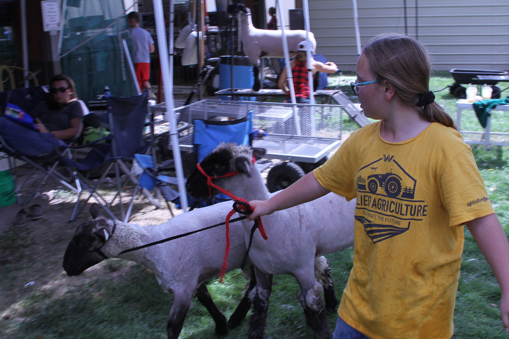 PHOTOS: Scenes from the Scotts Bluff County Fair
